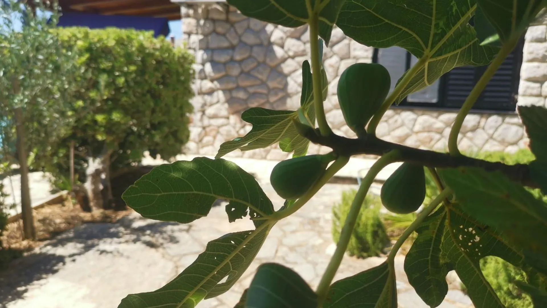 Apartment Apartman Rahela Selce Croatia